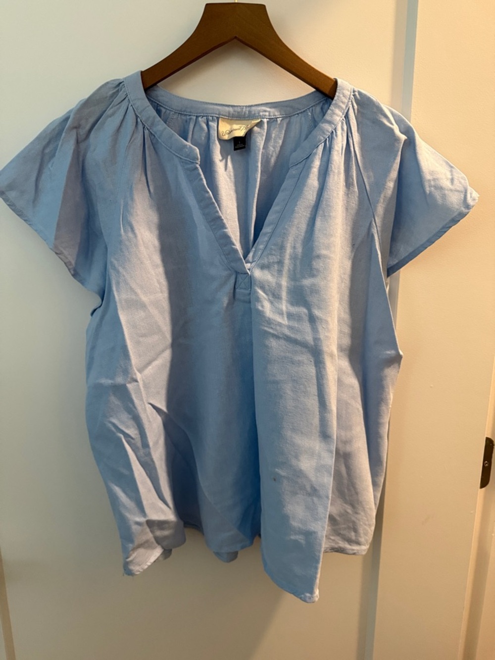 Light Blue Women's V-Neck Flutter Sleeve Top
